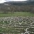 Labyrinth of life and death