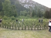 Pogled na labirint