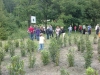Pogled na labirint