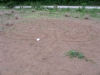 10-mali-ganesov-labirint