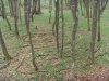 Ganešov labirint