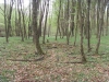 Ganešov labirint