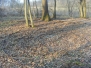 Vrbovec - sunce i mjesec