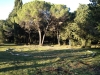 labirint5